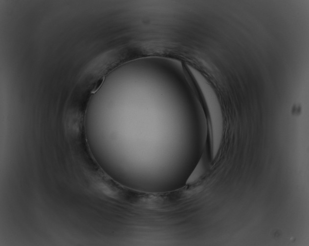 X0000091460125200708301840