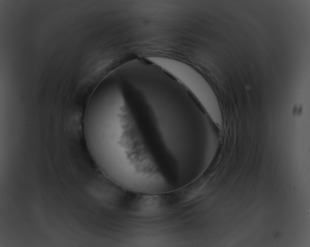 X0000091460127200708301840