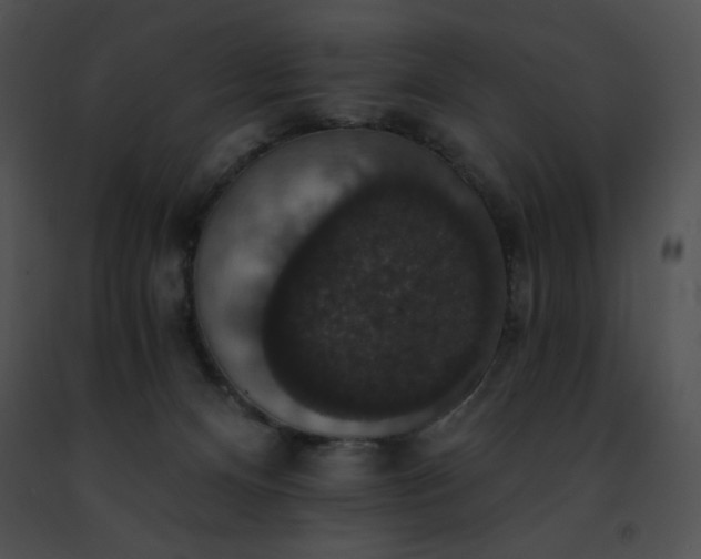 X0000091460128200708301840