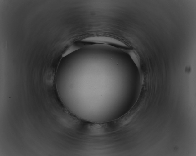 X0000091460129200708301840