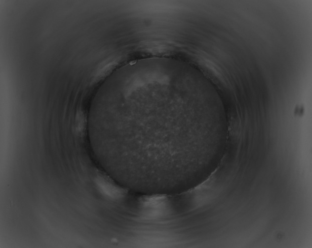 X0000091460132200708301840