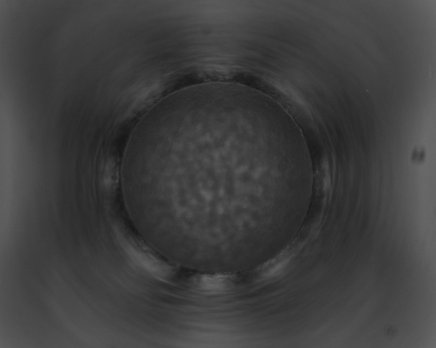 X0000091460134200708301840