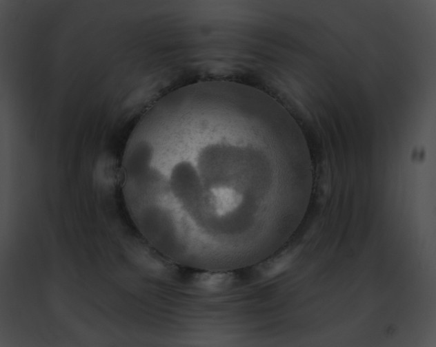 X0000091460135200708301840