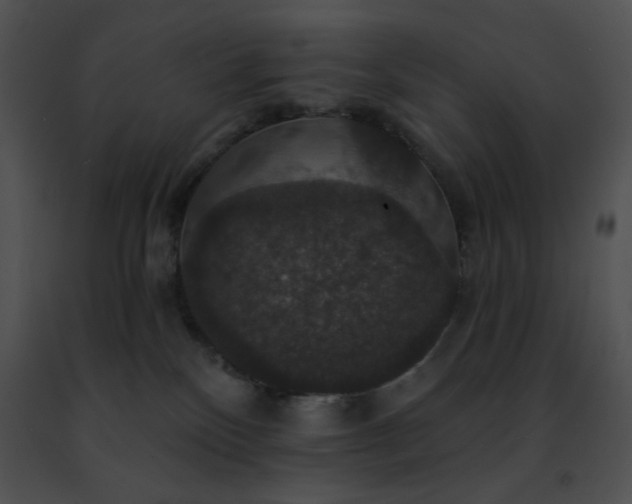 X0000091460136200708301840