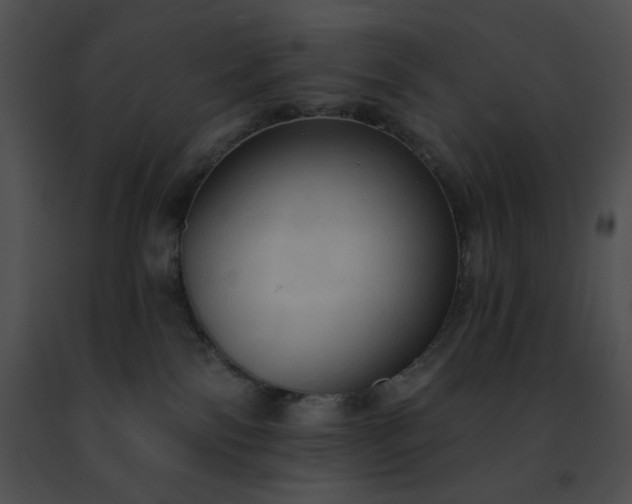 X0000091460138200708301840