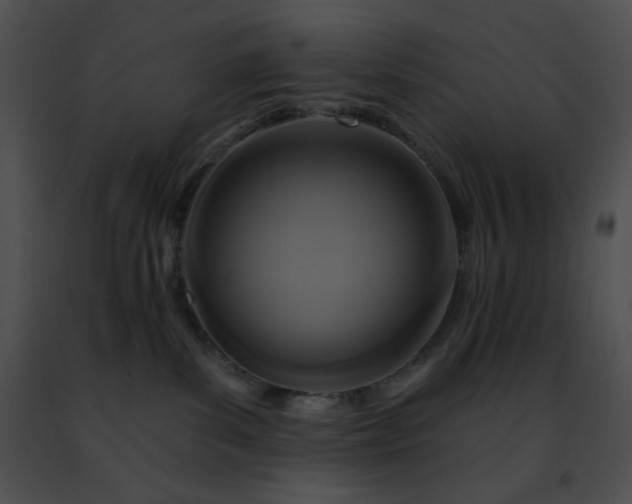 X0000091460139200708301840