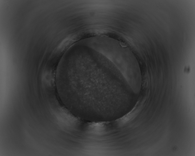 X0000091460140200708301840