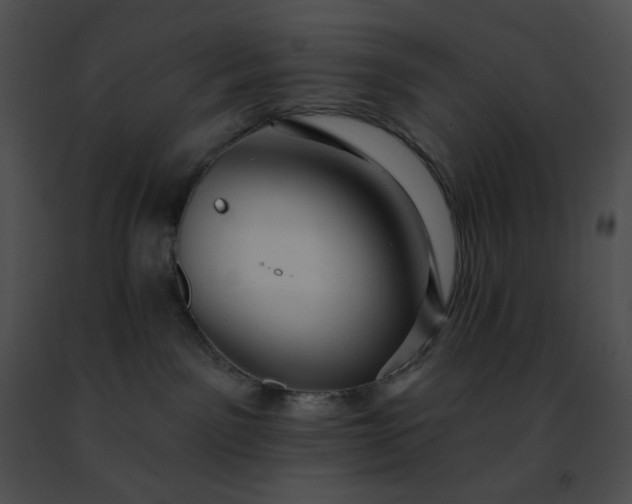 X0000091460141200708301840