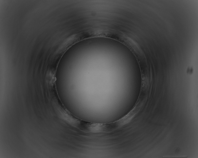 X0000091460142200708301840