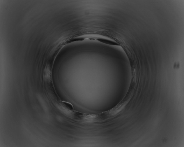 X0000091460143200708301840