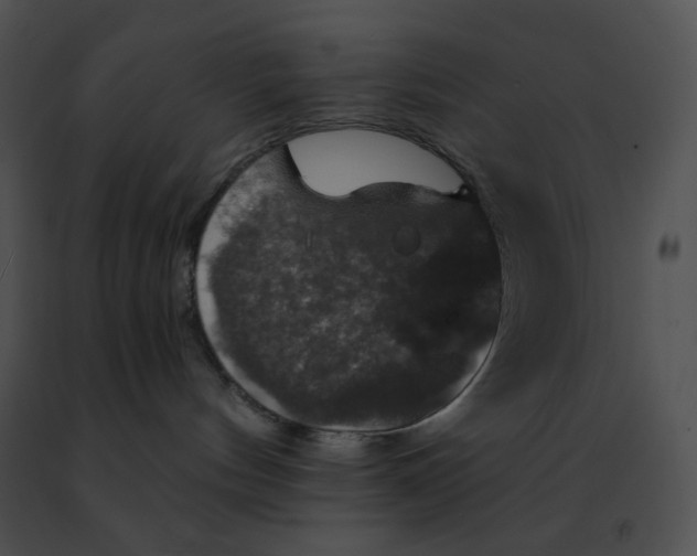 X0000091460144200708301840