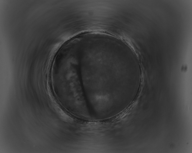 X0000091460145200708301839