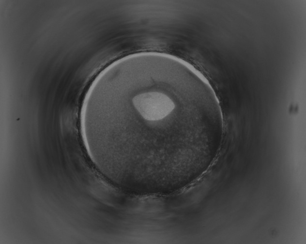 X0000091460146200708301839