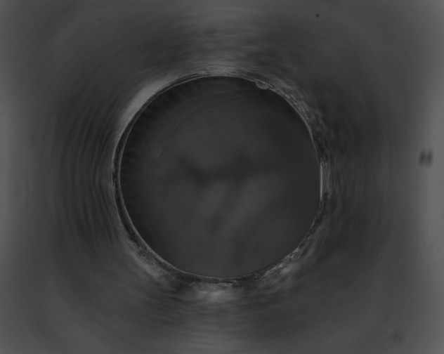 X0000091460147200708301839