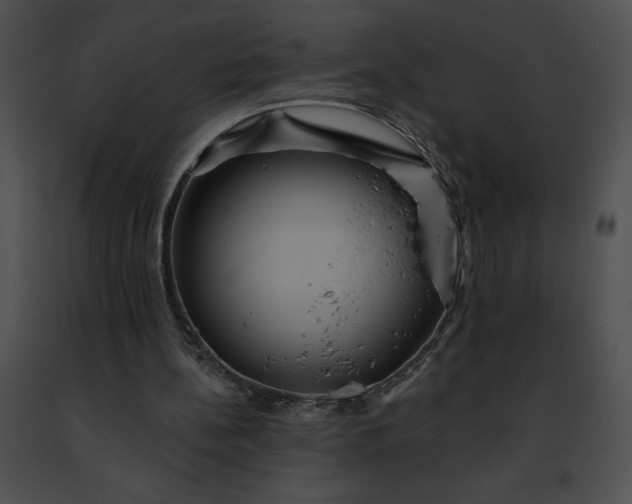 X0000091460148200708301839