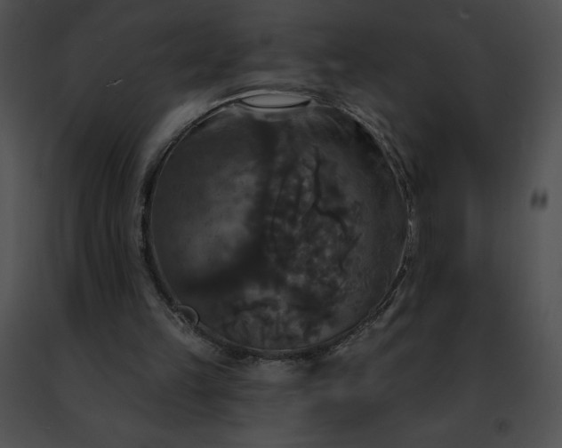 X0000091460149200708301839