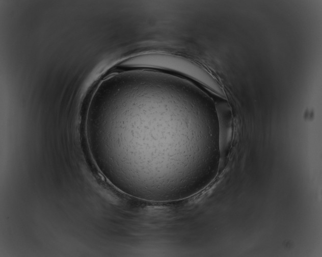 X0000091460150200708301839