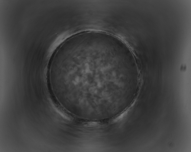 X0000091460151200708301839