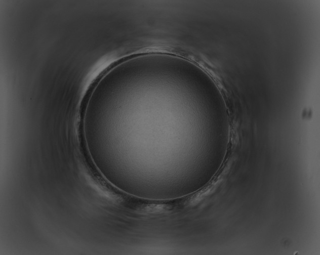 X0000091460152200708301839