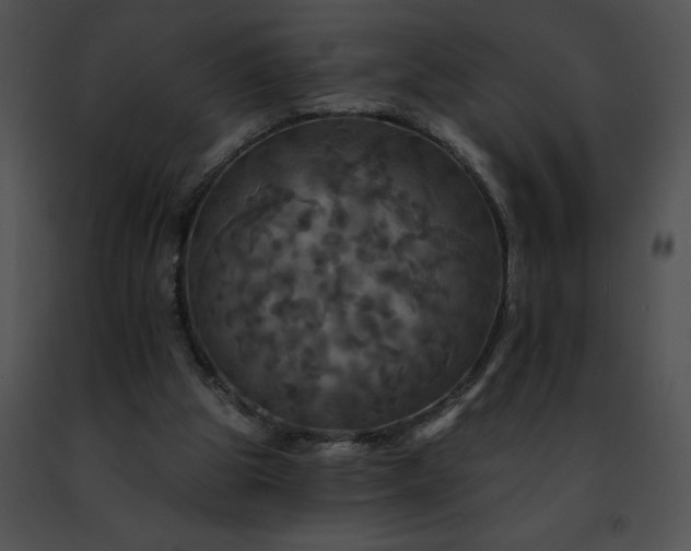 X0000091460153200708301839