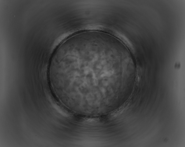 X0000091460155200708301839