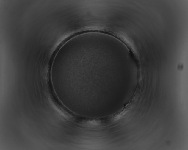 X0000091460156200708301839