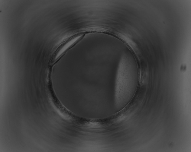 X0000091460157200708301839