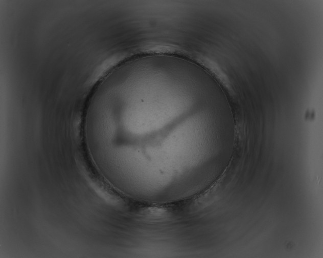 X0000091460159200708301839