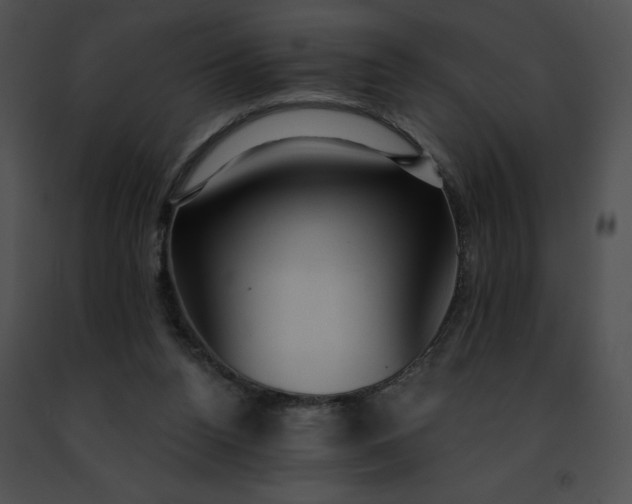 X0000091460160200708301839