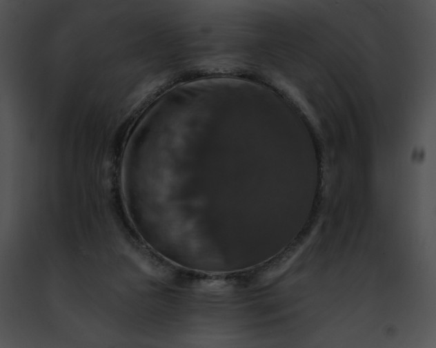 X0000091460161200708301839