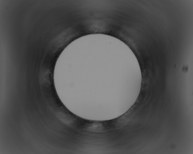 X0000091460162200708301839