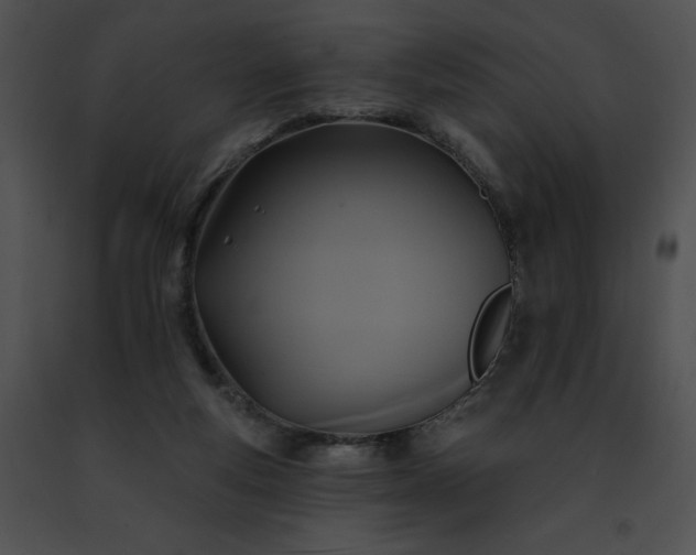 X0000091460163200708301839