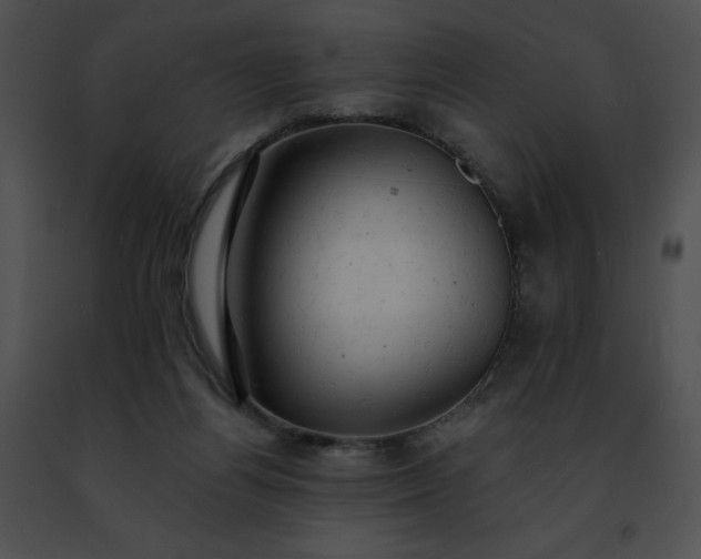 X0000091460164200708301839