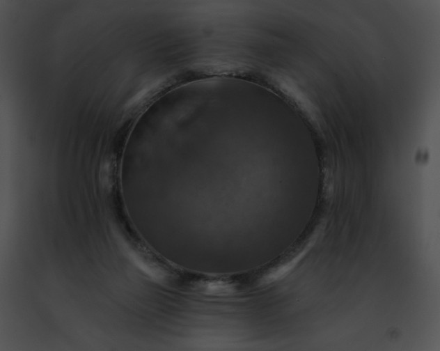 X0000091460165200708301839