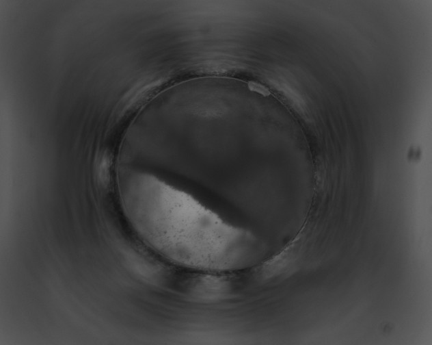 X0000091460166200708301839