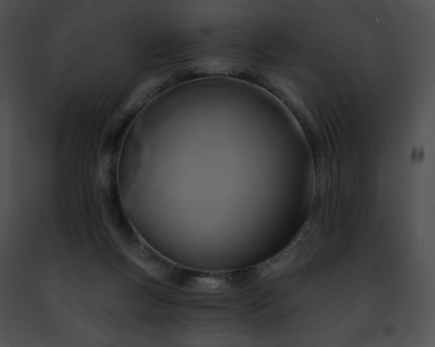 X0000091460167200708301839