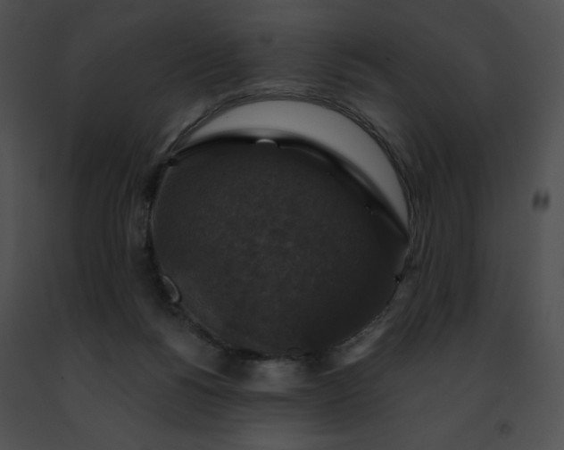 X0000091460168200708301839