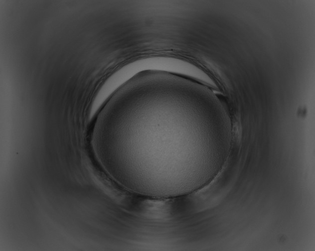 X0000091460170200708301839