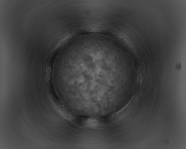 X0000091460171200708301839