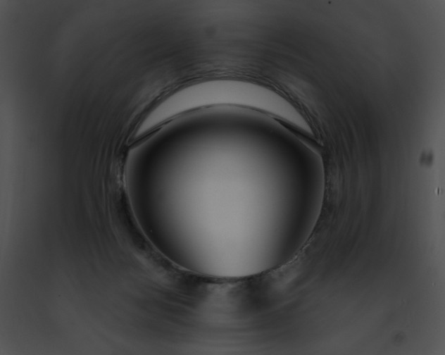 X0000091460172200708301839