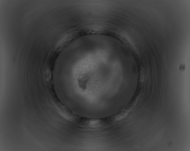 X0000091460173200708301839