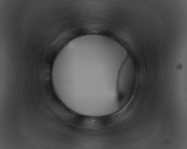 X0000091460174200708301839