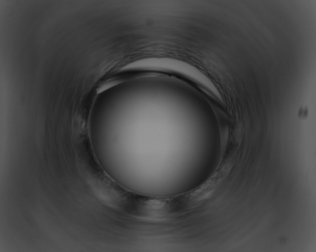 X0000091460176200708301839