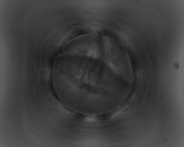 X0000091460177200708301839