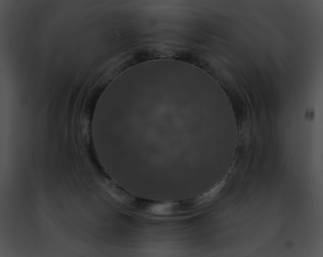 X0000091460178200708301839