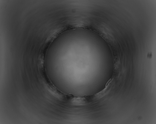 X0000091460179200708301839