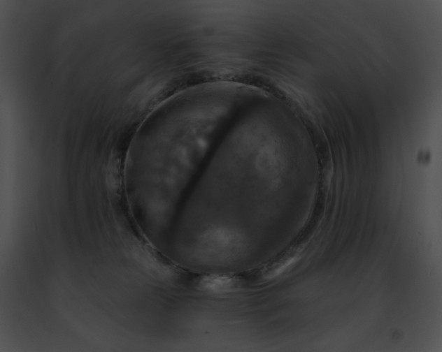 X0000091460181200708301839