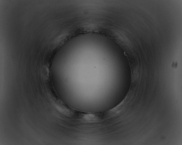 X0000091460183200708301839