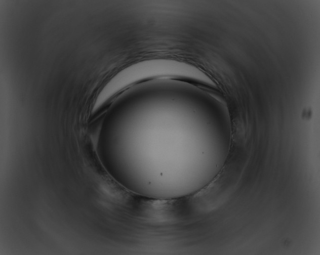 X0000091460184200708301839