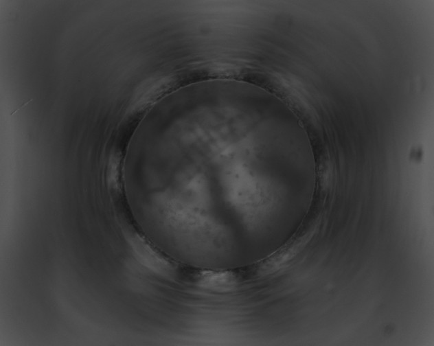 X0000091460185200708301839